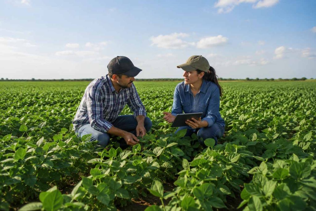 Agricultores analisando plantação de soja com tablet durante monitoramento agrícola em campo