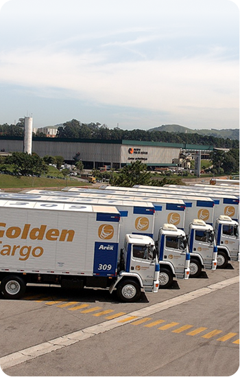 “O TOTVS Coleta e Entrega nos deu visibilidade dos veículos em trânsito e acesso online às evidências de entrega de cargas com fotos, o que para nossos clientes que estão transportando conosco, dá uma garantia da entrega dos produtos.”
