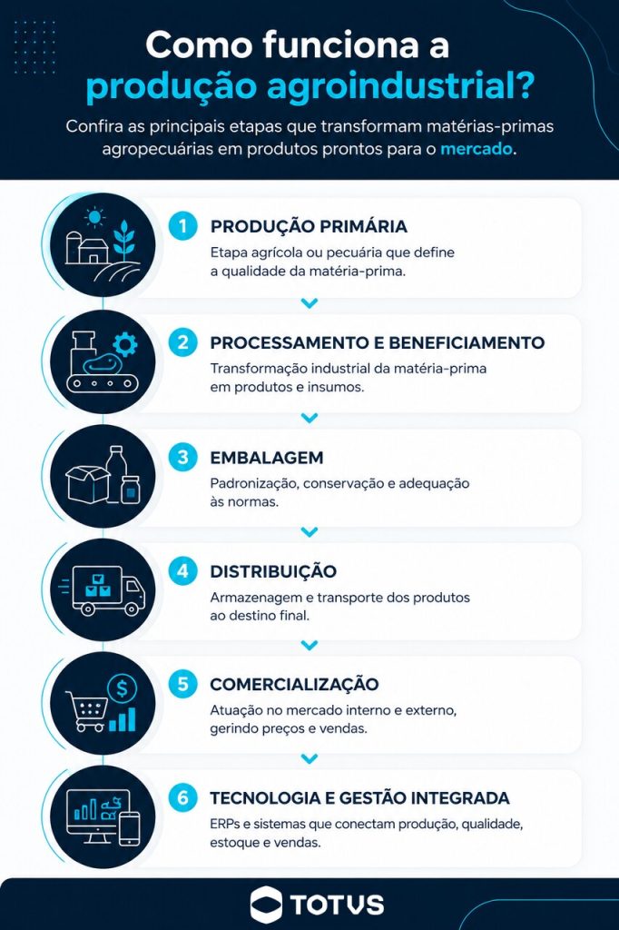 Infográfico com as etapas que mostram o que é agroindústria na prática, incluindo produção primária, processamento, embalagem, distribuição, comercialização e gestão integrada.