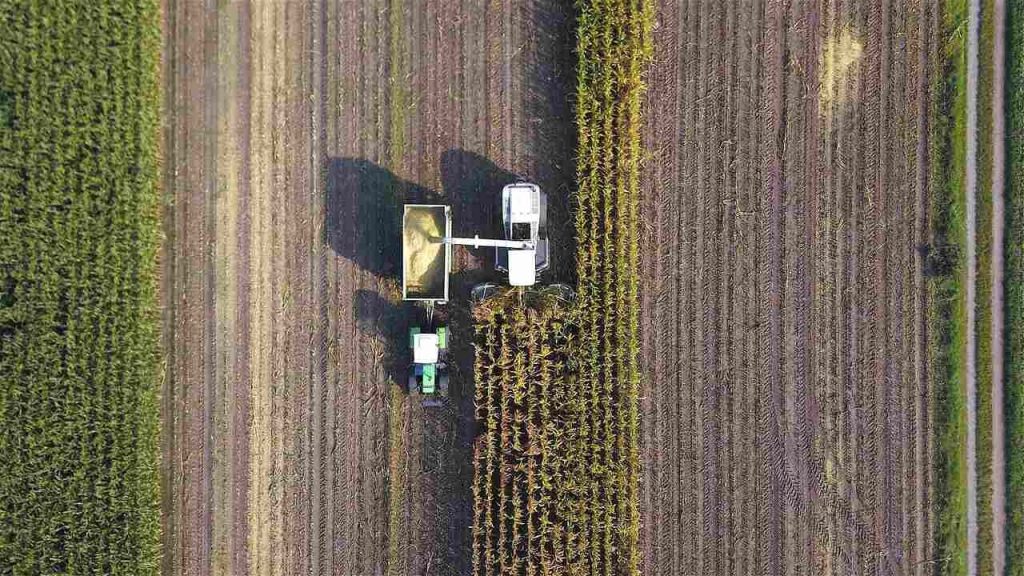 Colheita mecanizada em lavoura mostrando a produção no mercado agrícola brasileiro