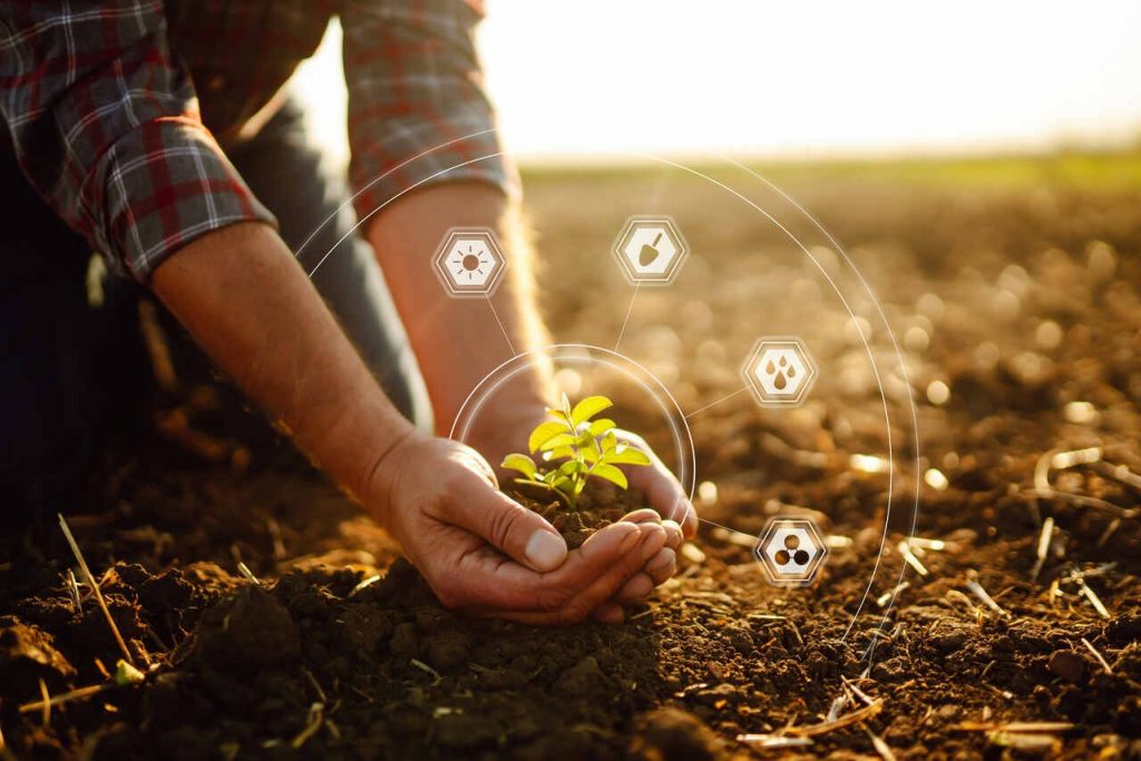Tecnologia no mercado agrícola com análise de dados para aumentar a produtividade no campo