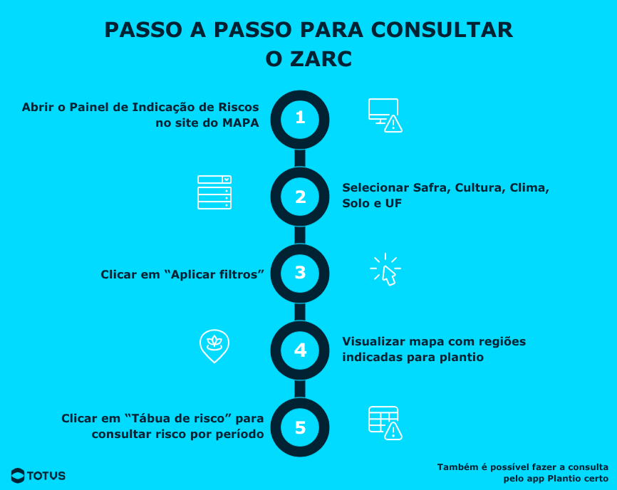 Infográfico com passo a passo para consultar o Zarc, mostrando como acessar o painel do MAPA, aplicar filtros e visualizar regiões indicadas para plantio.