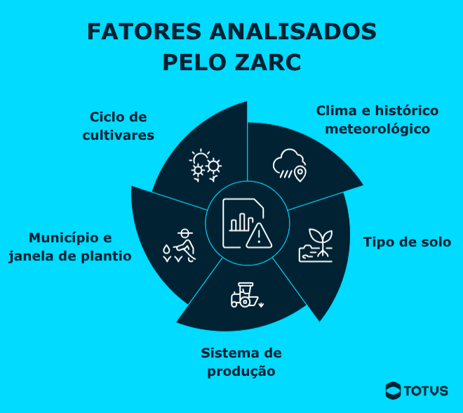 Infográfico explicando os principais fatores analisados pelo Zarc, como clima, histórico meteorológico, tipo de solo, sistema de produção, município e ciclo de cultivares.