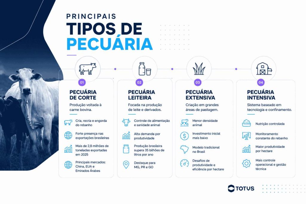 Infográfico apresentando os principais tipos de atividade pecuária no Brasil, incluindo pecuária de corte, leiteira, extensiva e intensiva.