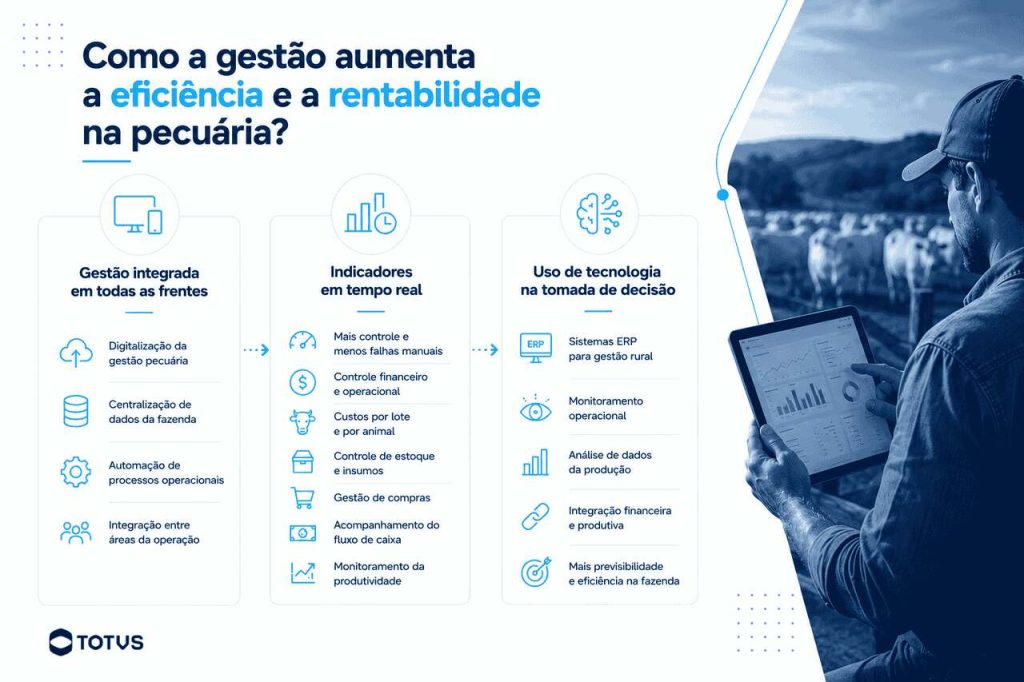 Infográfico sobre como a gestão e a tecnologia aumentam a eficiência e a rentabilidade na atividade pecuária.