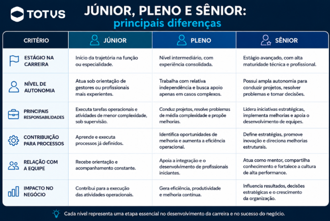 Tabela comparativa de níveis profissionais: diferenças entre júnior, pleno e sênio